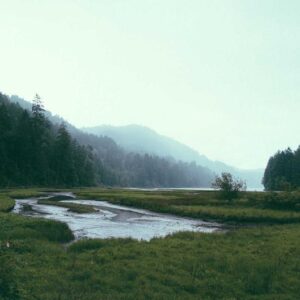 Rustic Bronze Wallet