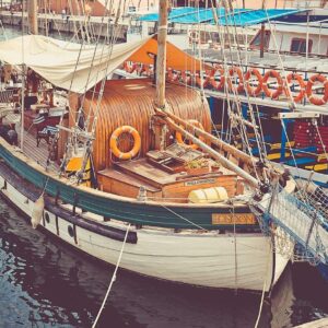 Synergistic Wooden Hat