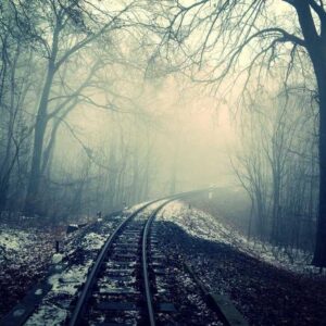 Incredible Bronze Bag