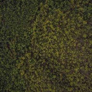 Durable Concrete Bench