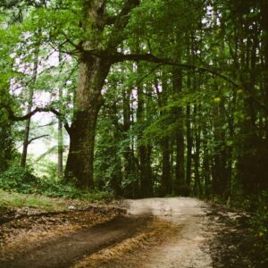 Heavy Duty Silk Wallet