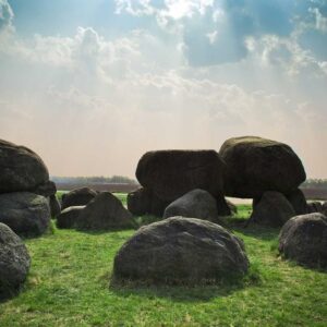 Synergistic Wool Lamp