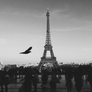 Fantastic Cotton Watch